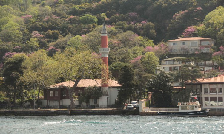 Bosphorus Cruise