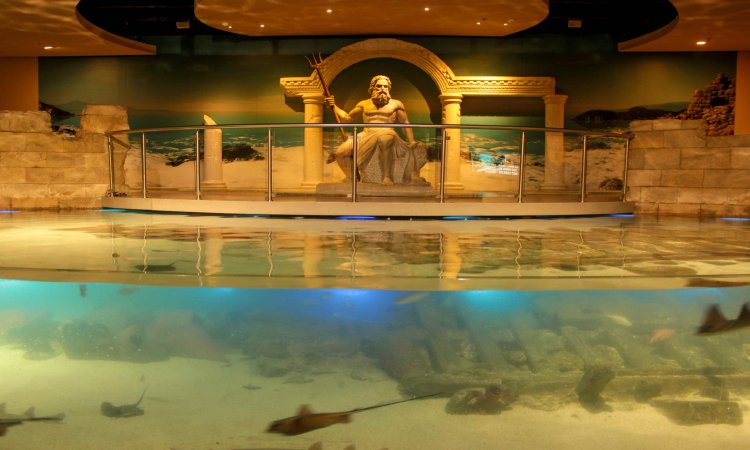 İstanbul Aquarium 