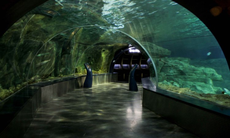 İstanbul Aquarium