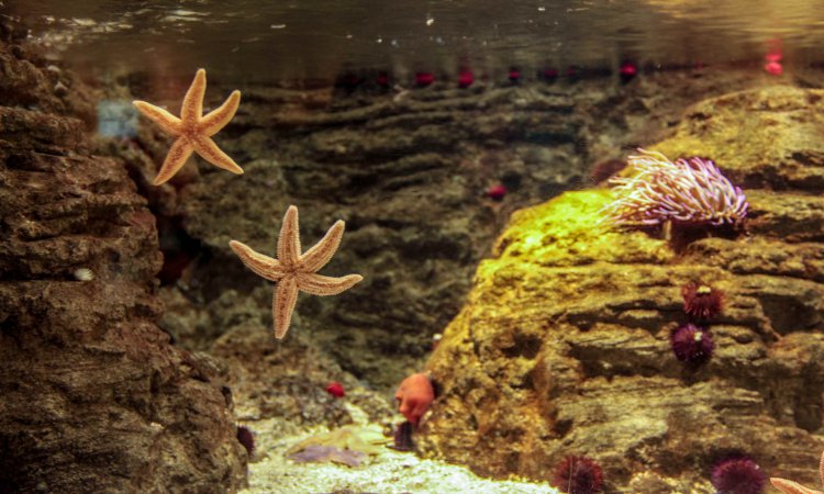 İstanbul Aquarium