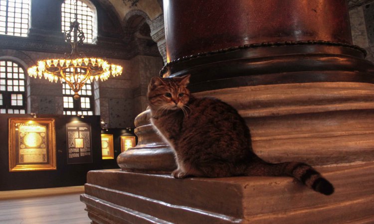 Hagia Sophia